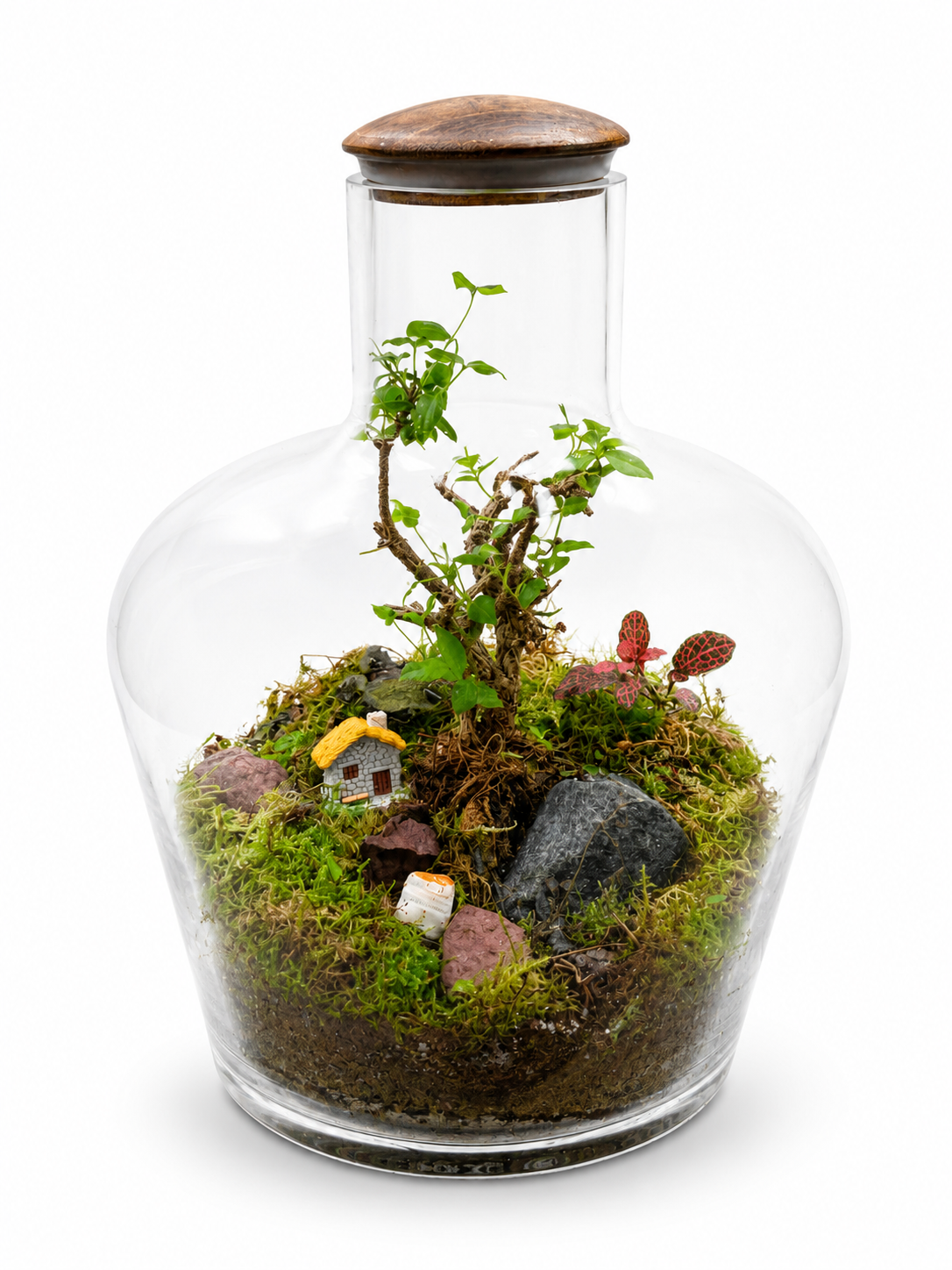 Mini Woodland House Closed Terrarium – Fantasy Moss Garden Mini Ecosystem