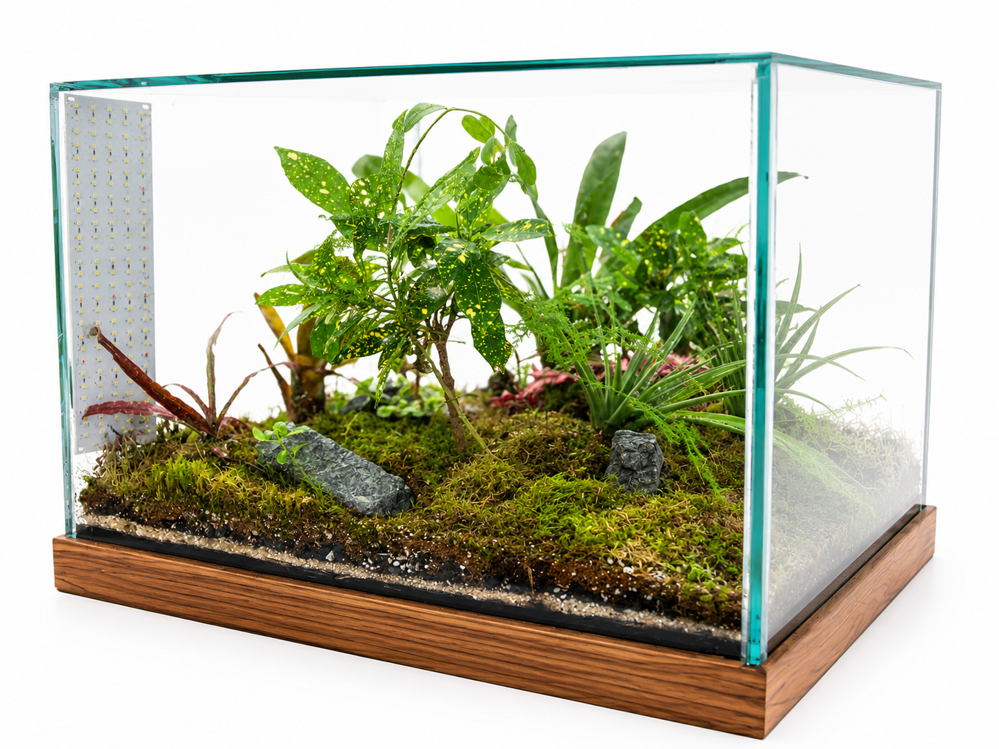 Living Terrarium Coffee Table – Self-Sustaining Green Ecosystem