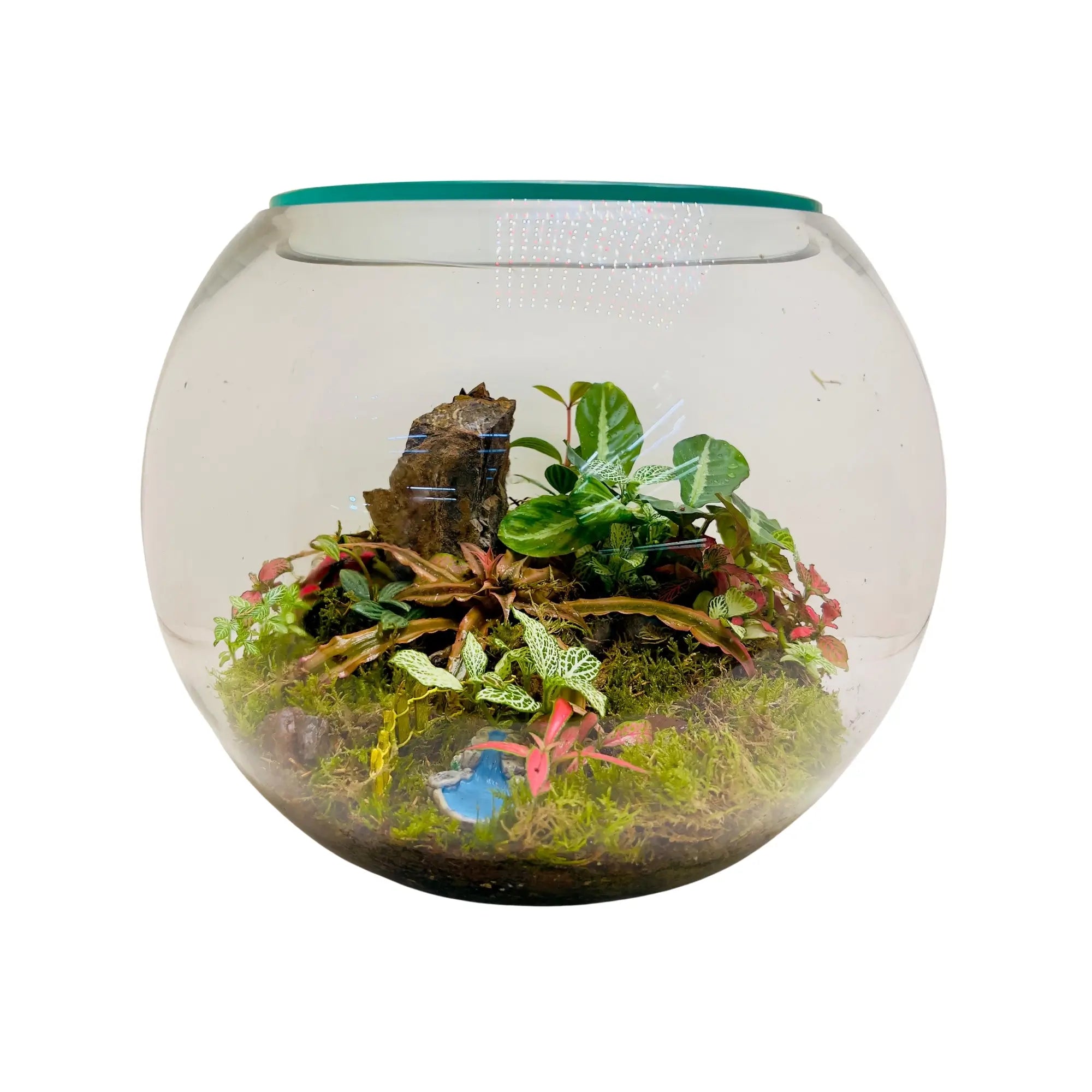 Nature's Harmony Closed Terrarium – Wooden Art