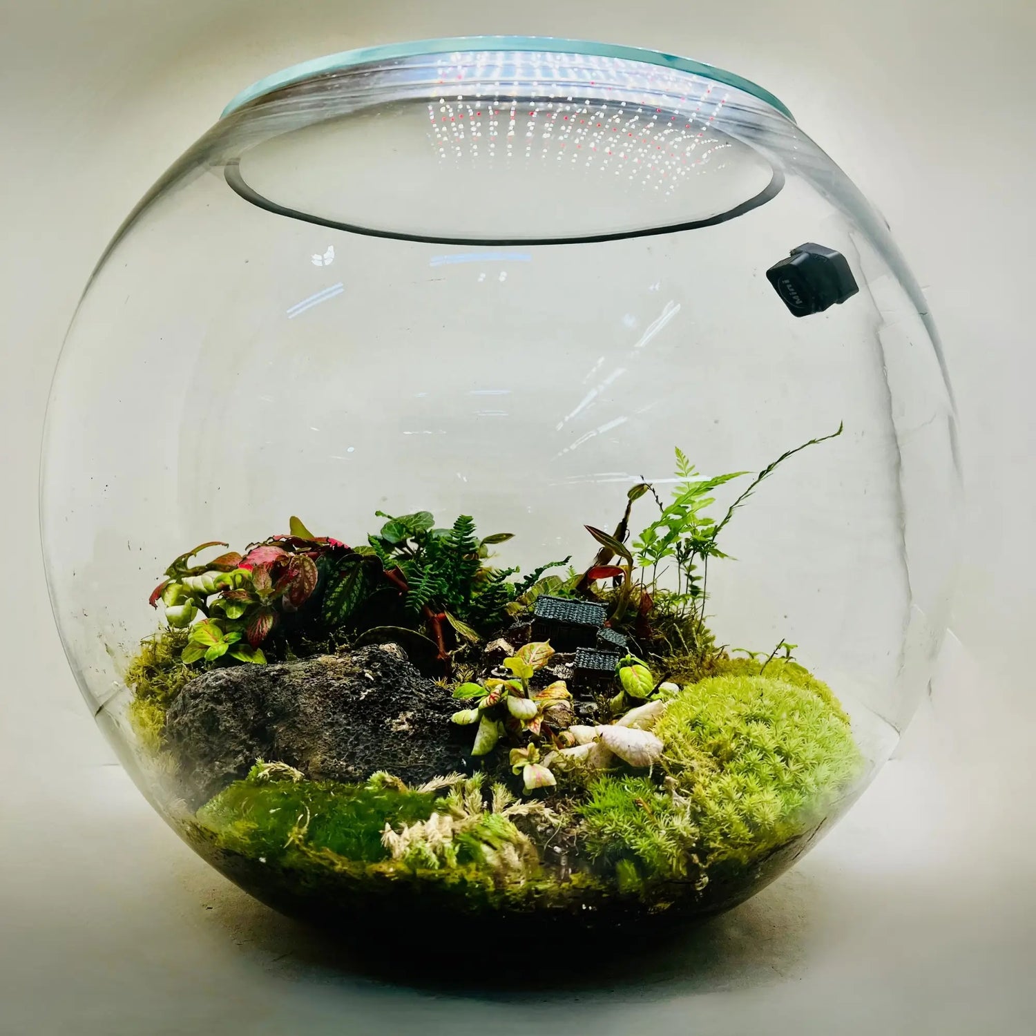 Celestial Green Terrarium in Dubai
