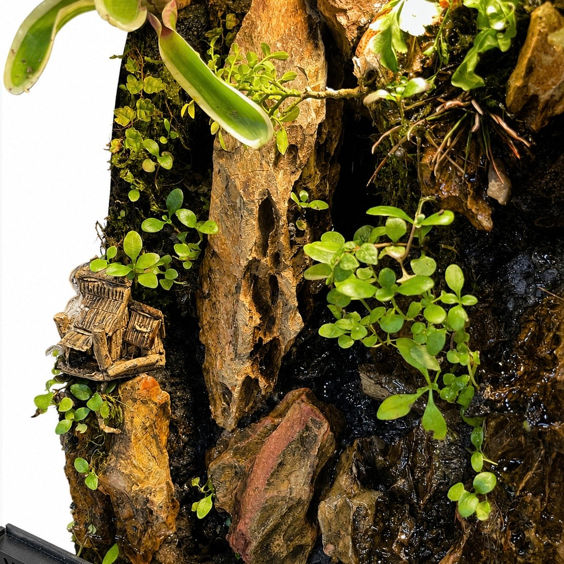Mini Cliffside Waterfall Paludarium 45x30cm
