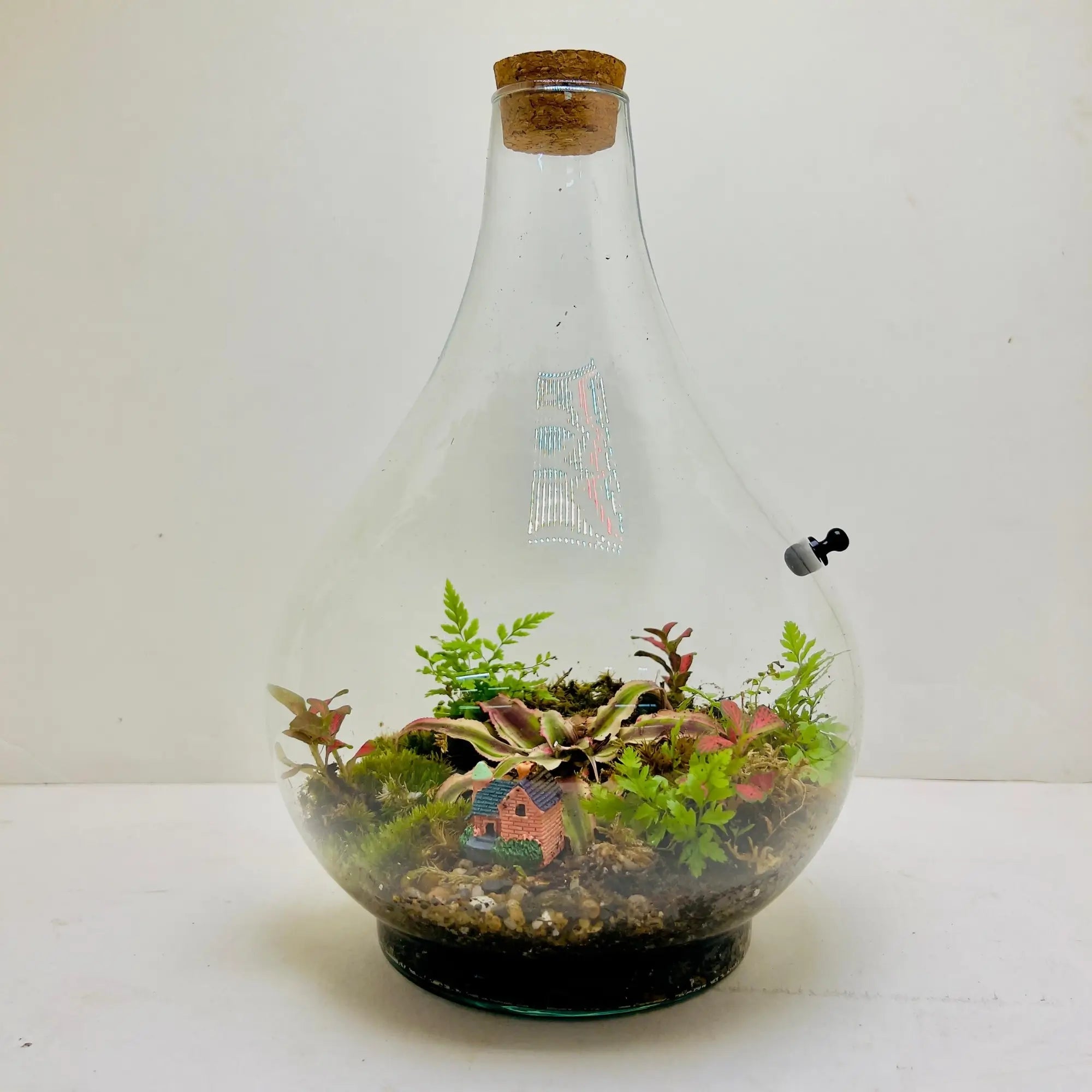 Earth Stars Terrarium for Corporate Gifting