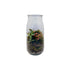 Fittonia Mix Terrarium Shop in UAE