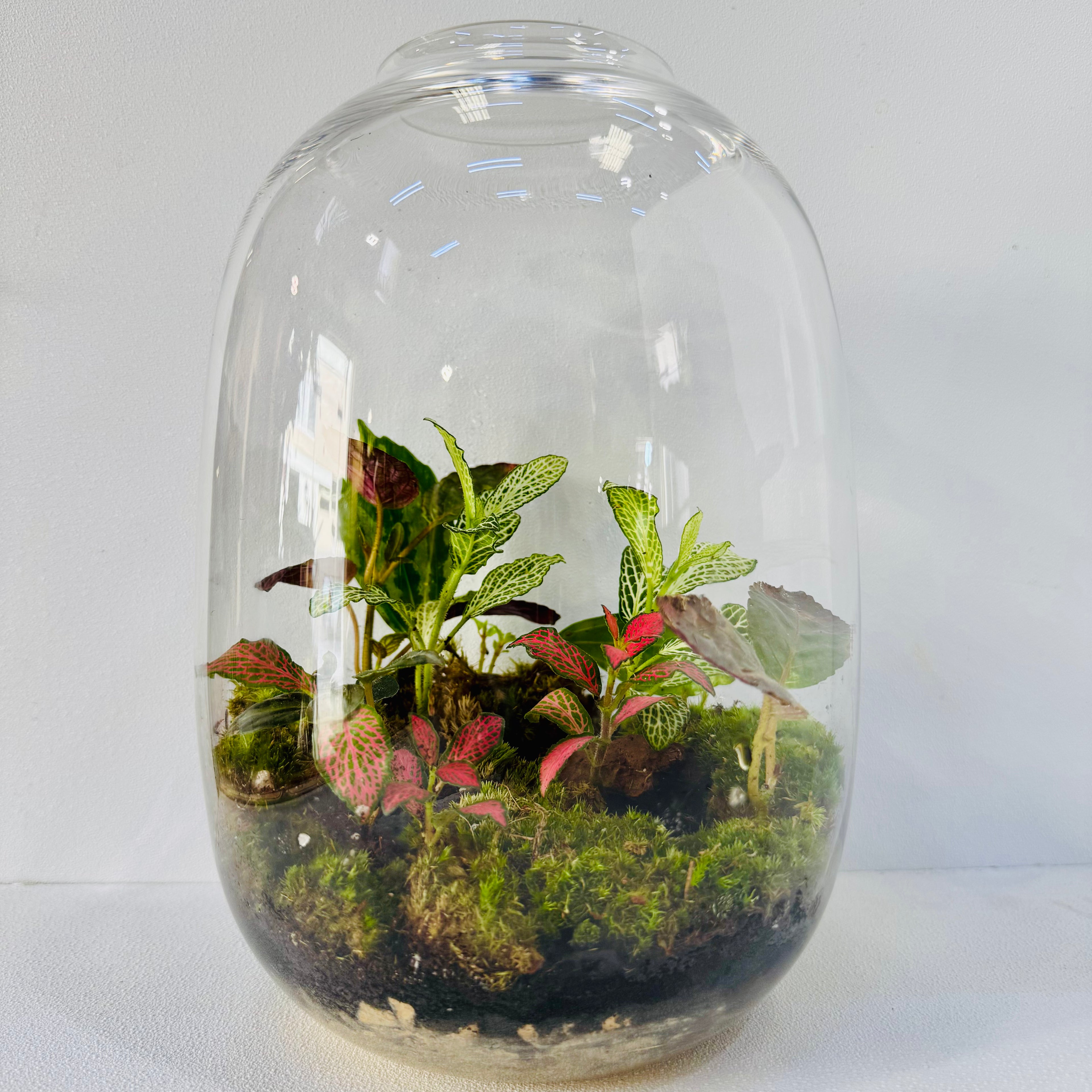 Terrarium Creations Inspired By Calm of Nature Hieght: 29cm Width: 18cm