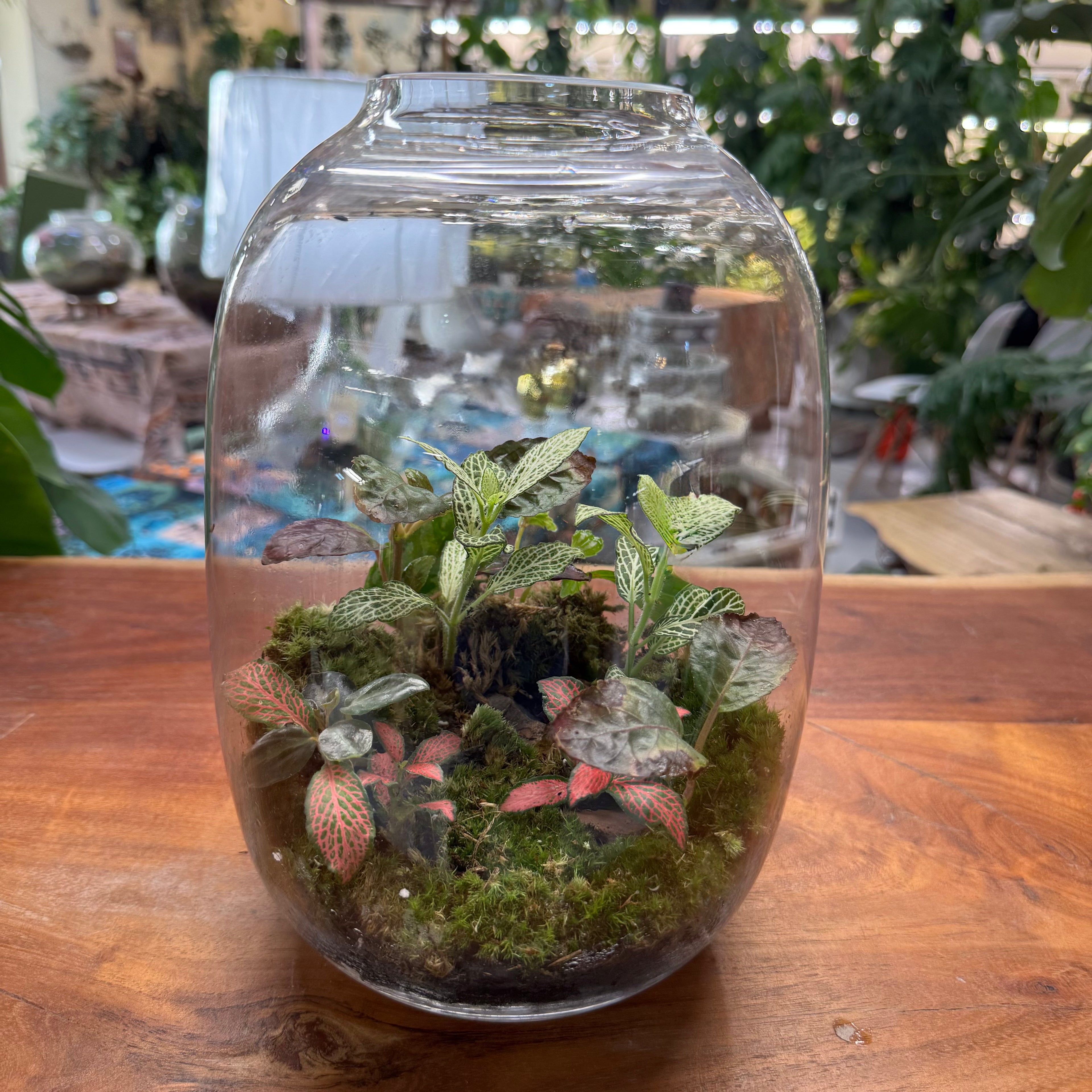 Terrarium Creations Inspired By Calm of Nature Hieght: 29cm Width: 18cm