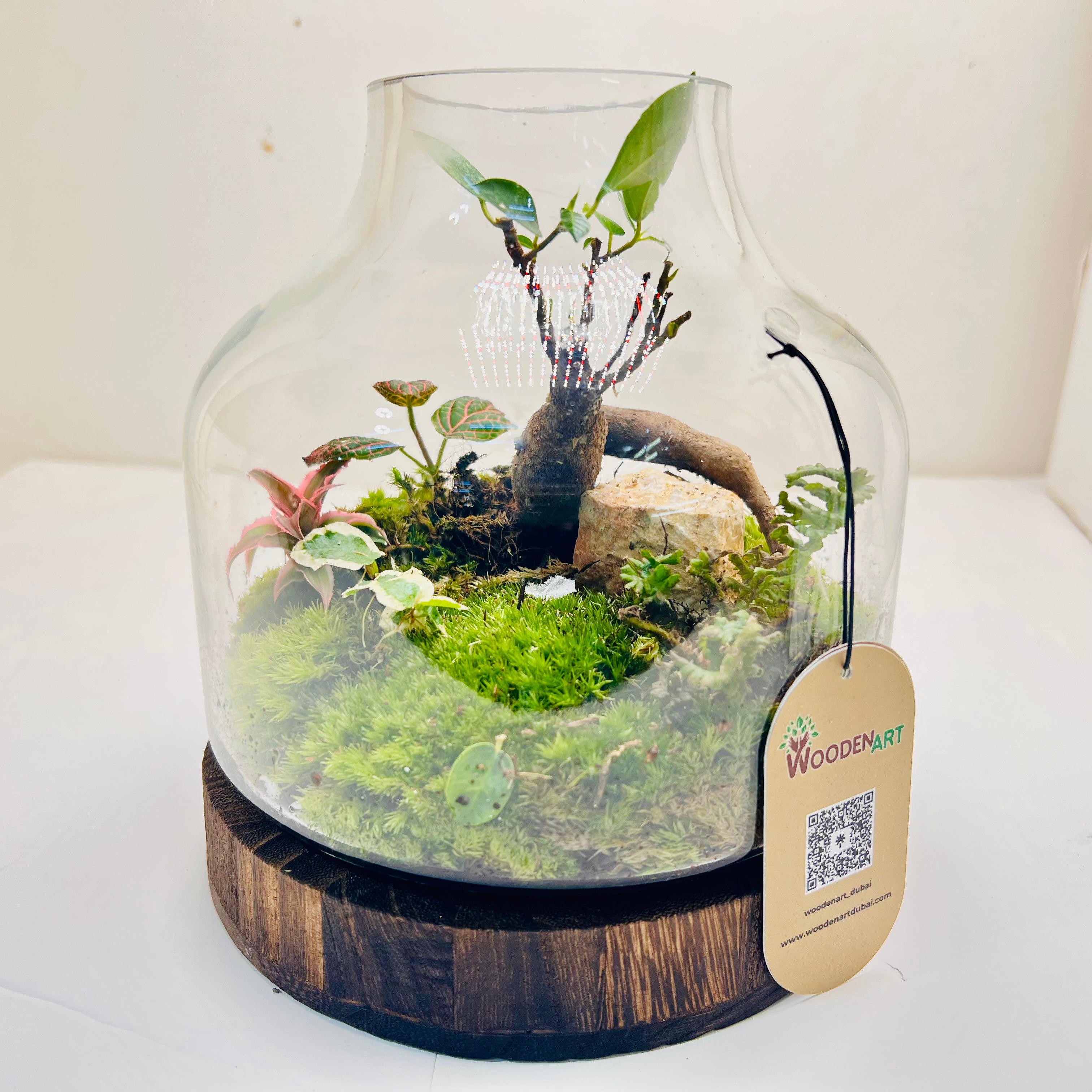 Harmony in Glass Bonsai Terrarium with Natural Rocks & Lush Moss
