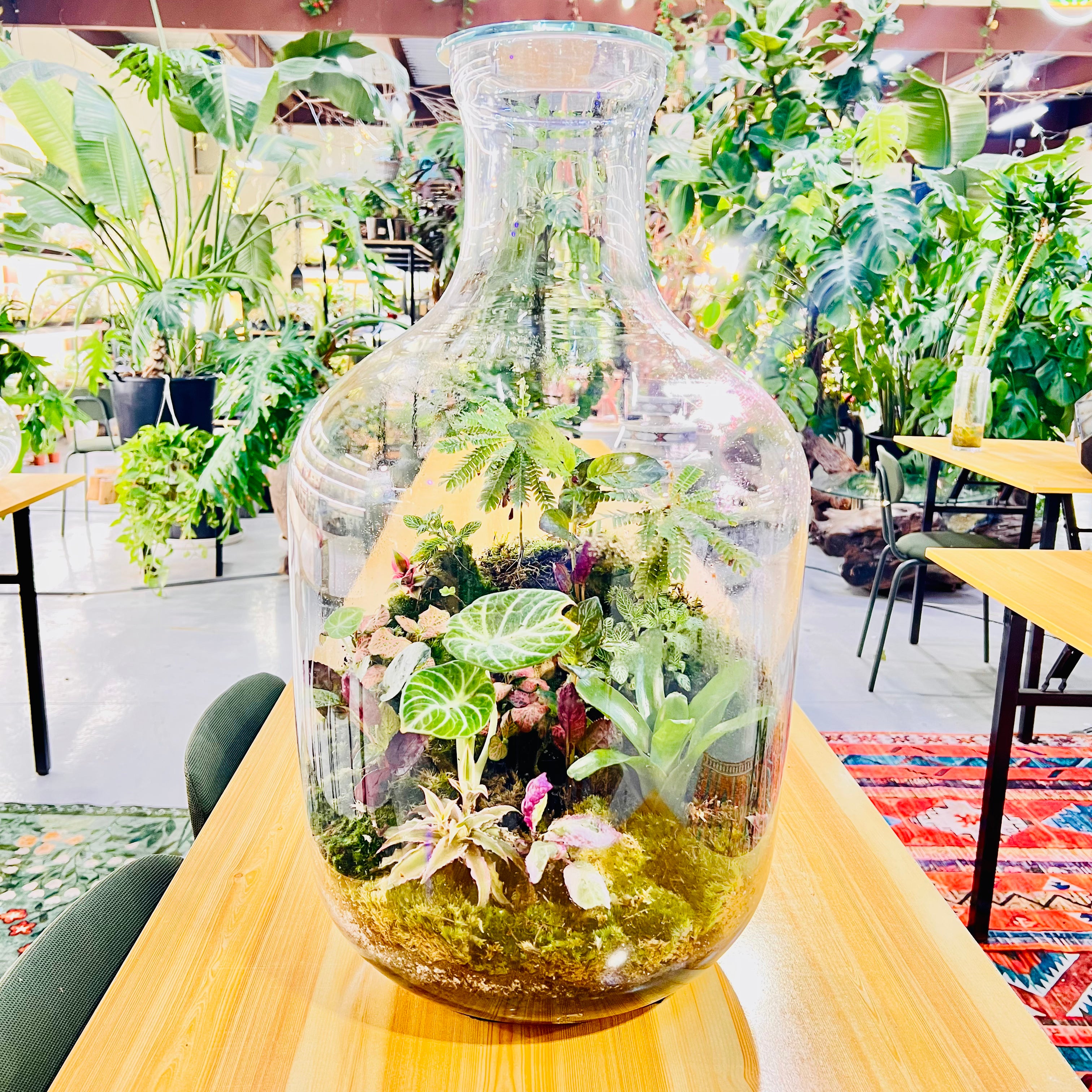 Grand Bottle Garden Terrarium Handcrafted Living Art with Tropical Plants & Moss