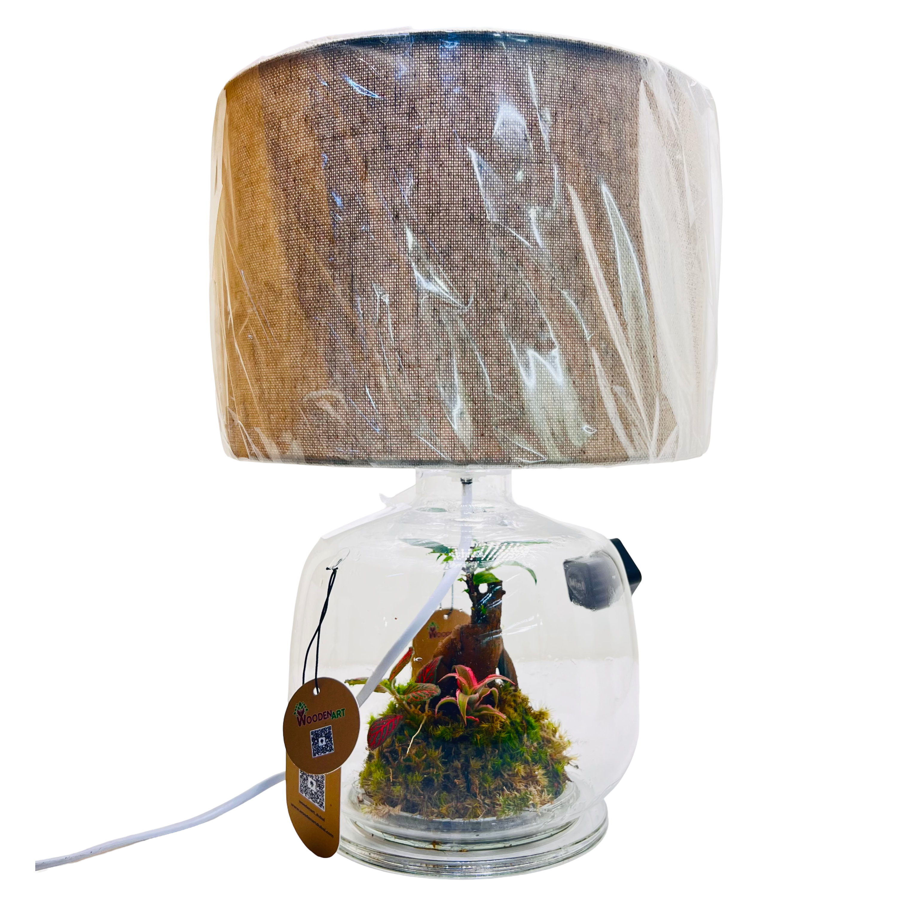 Glass Terrarium Lamp Handcrafted Eco Light with Moss & Bonsai Created by | Wooden Art Dubai