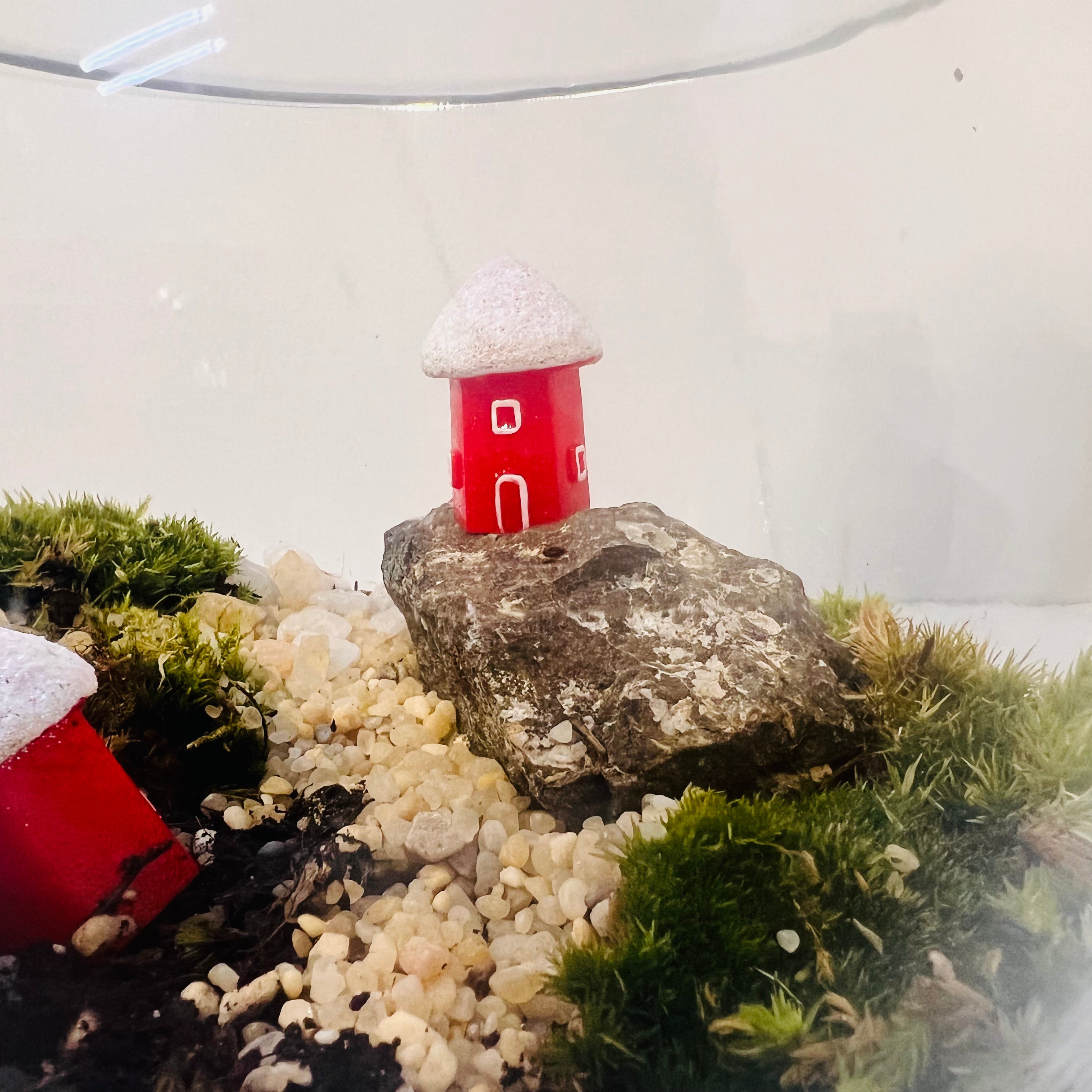 Enchanting Mini Forest Bowl Terrarium -Special For this Christmas ๐
Hieght : 16cm Width : 17cm