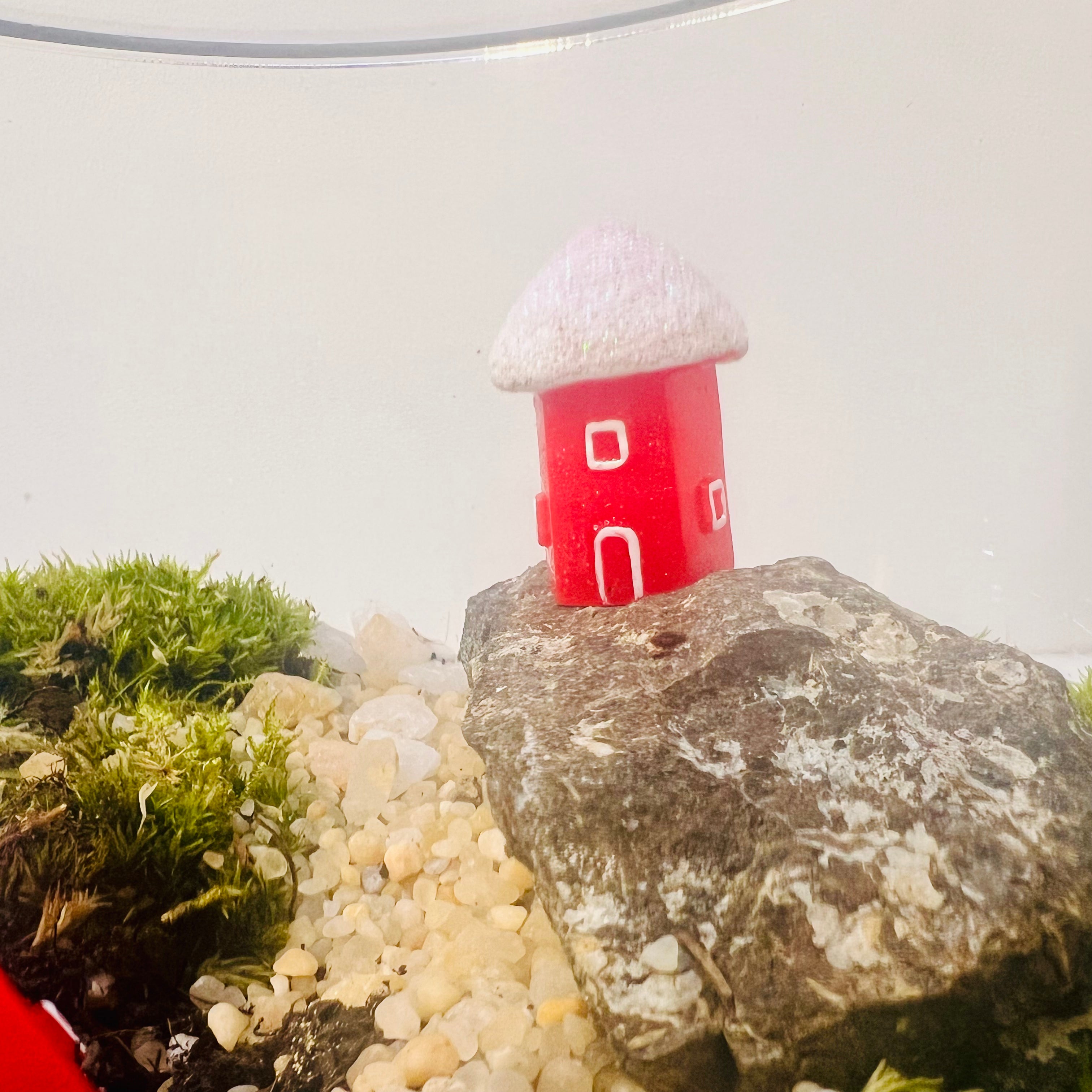 Enchanting Mini Forest Bowl Terrarium -Special For this Christmas ๐
Hieght : 16cm Width : 17cm