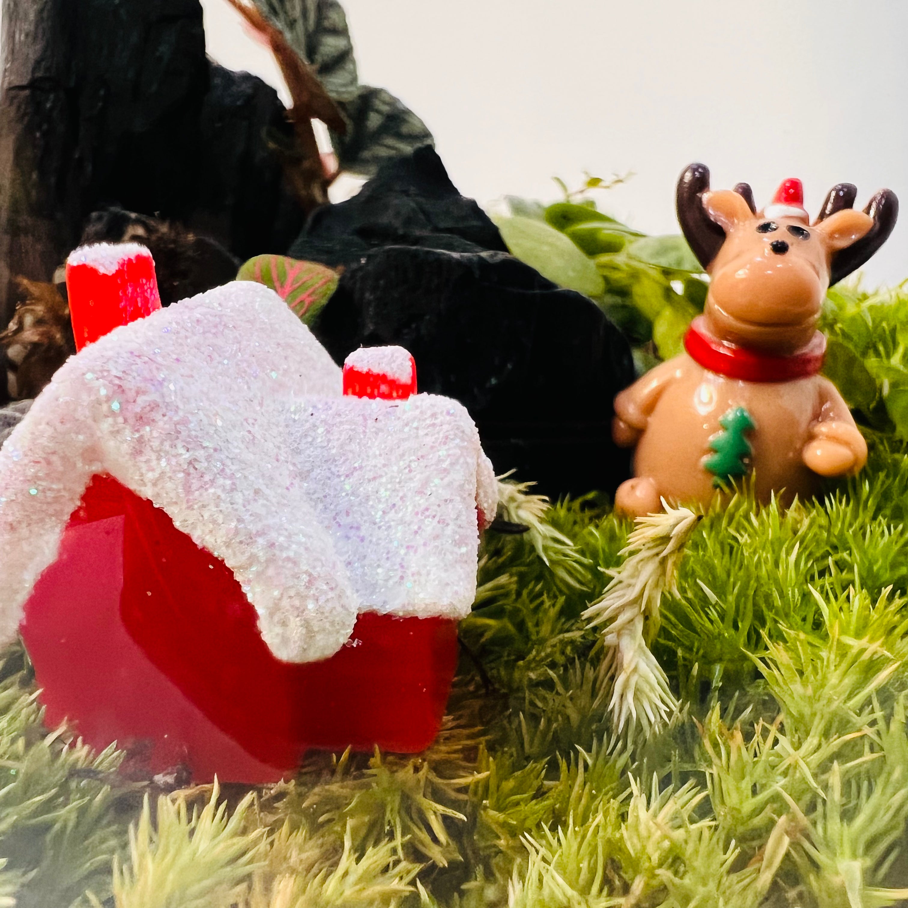 HouseChristmas Wonderland Moss Terrarium – Festive Mini Landscape with Live Plants, Reindeer & Snowy Hieght 16cm Width 15cm