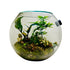 Nature Inspired Terrarium