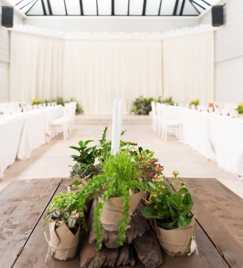 Potted Plants Event Exhibition