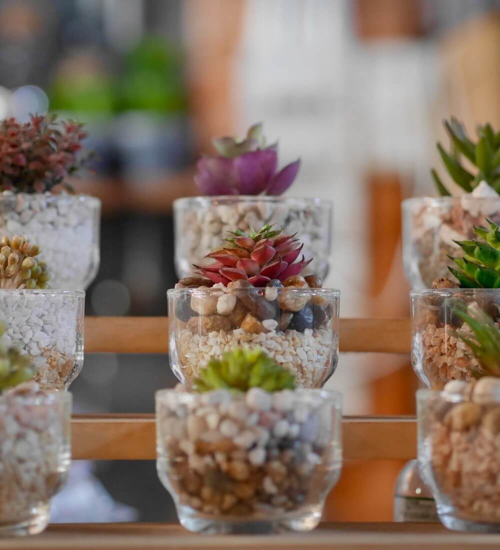 Small Glass Potted Plants Table