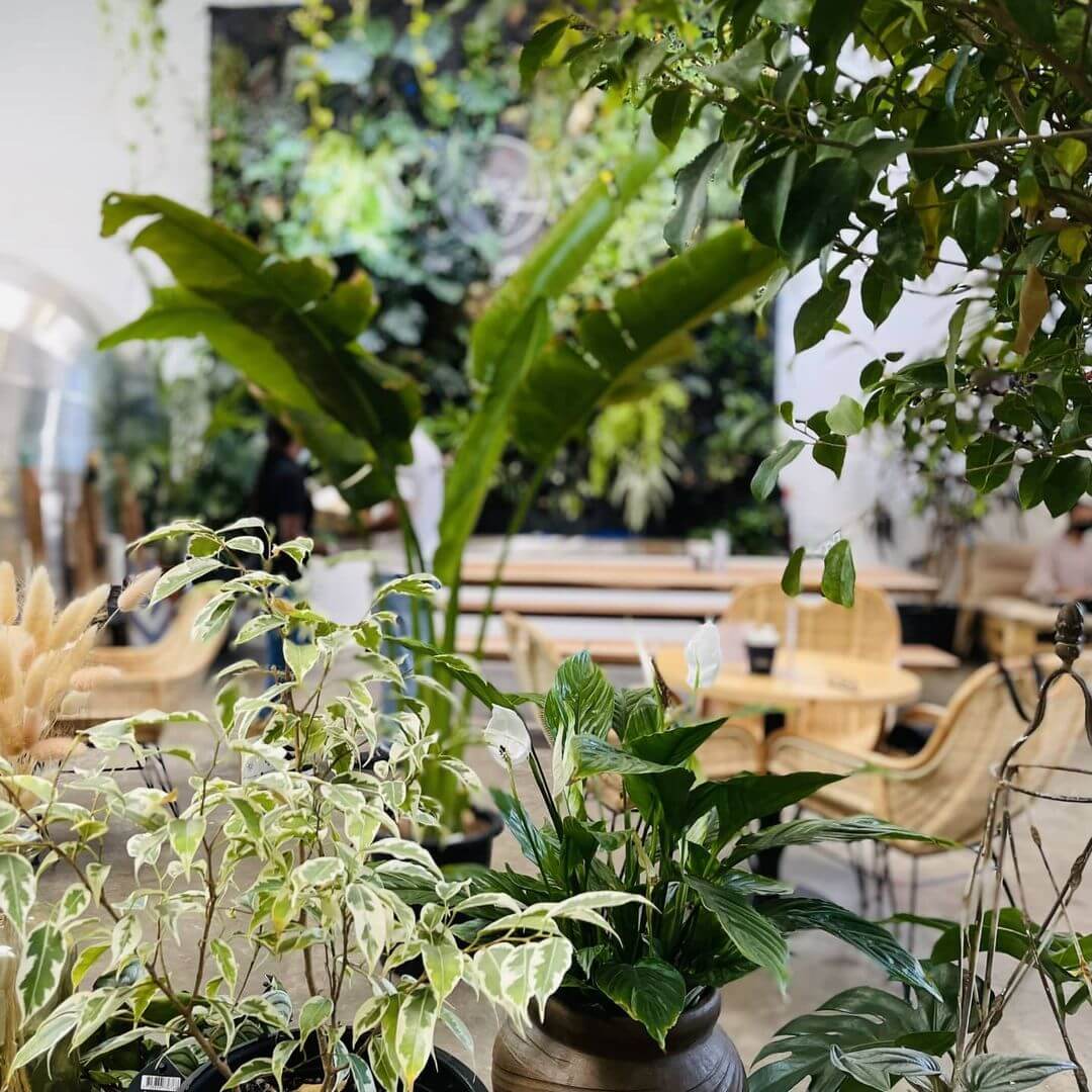 Wooden Art Showroom 2