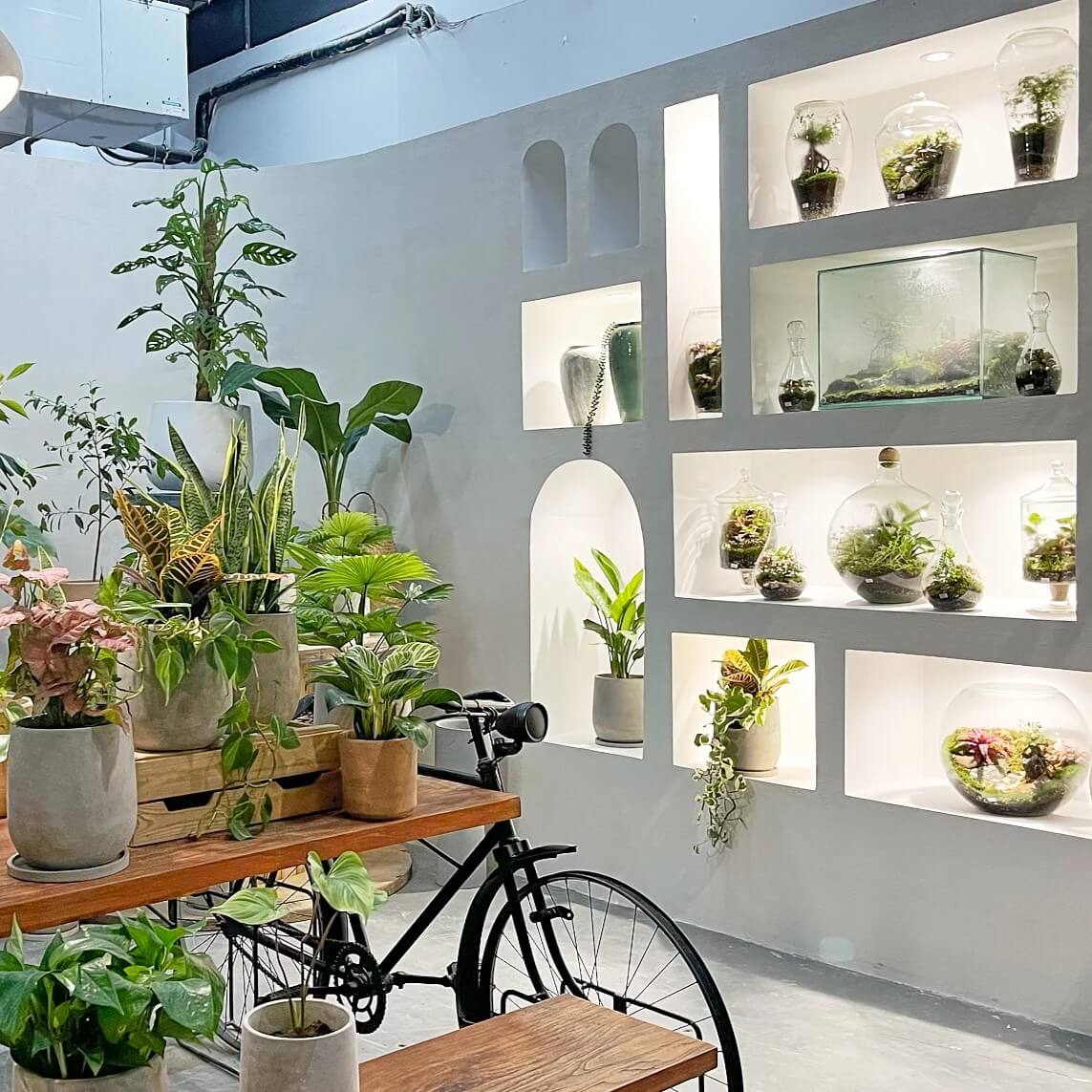 Wooden Art Showroom 4