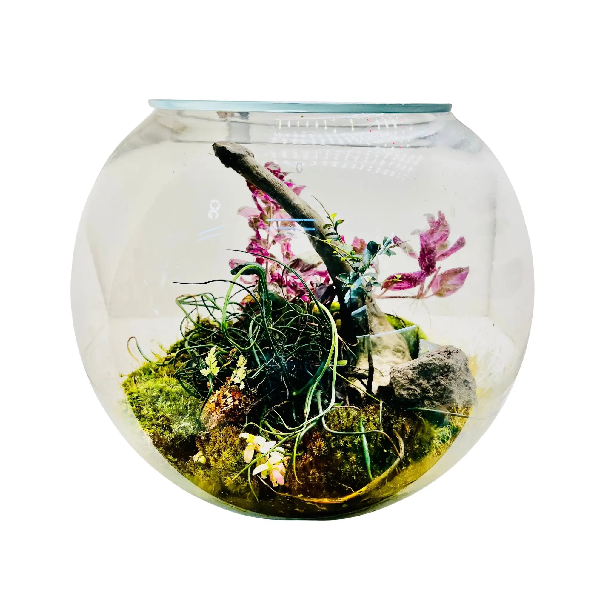 Woodland Charm Terrarium