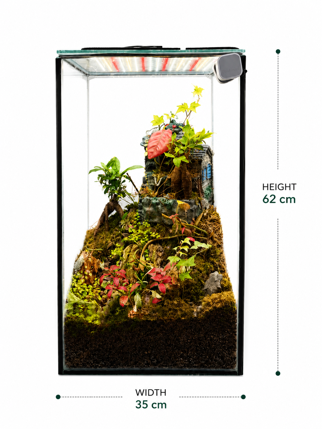 Ginseng Ficus Village Closed Terrarium – Miniature Forest Cottage Garden in Glass 62x35cm