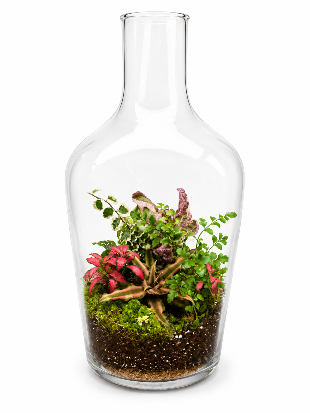 Botanical Harmony Closed Terrarium - Mini Ecosystem