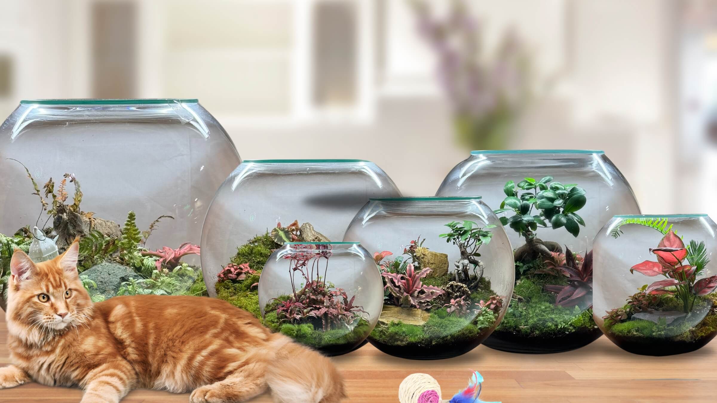 Closed terrariums