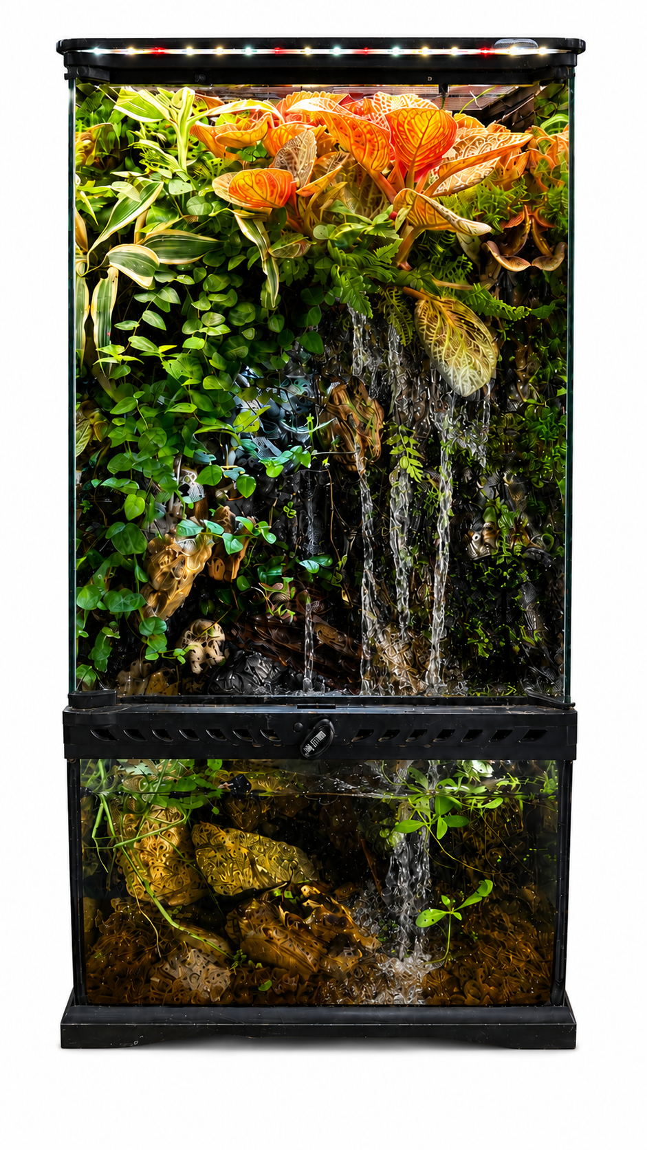 Jewel Orchid Vertical Paludarium – Premium Living Rainforest Ecosystem 63x30cm