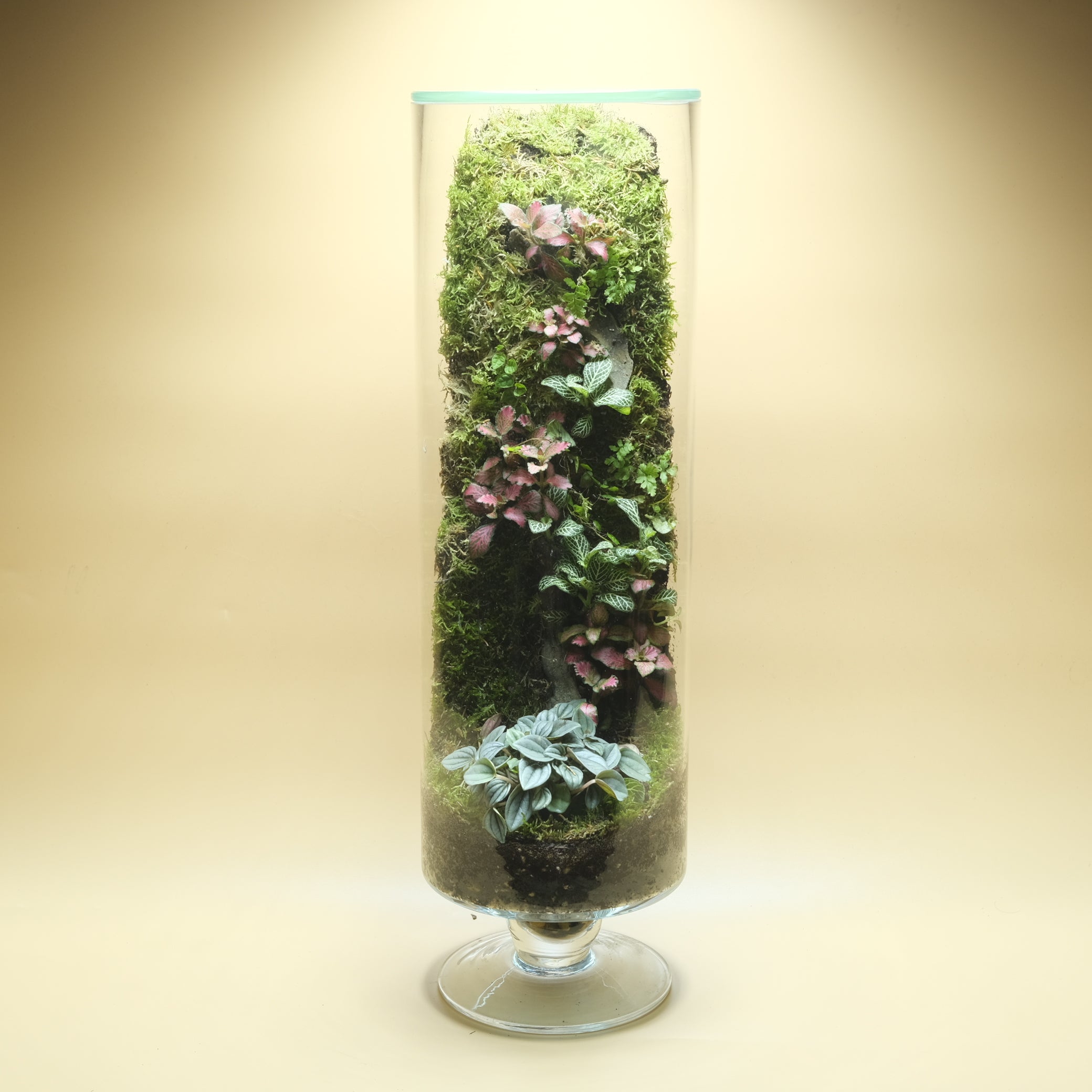 Great Flourish Wall Terrarium