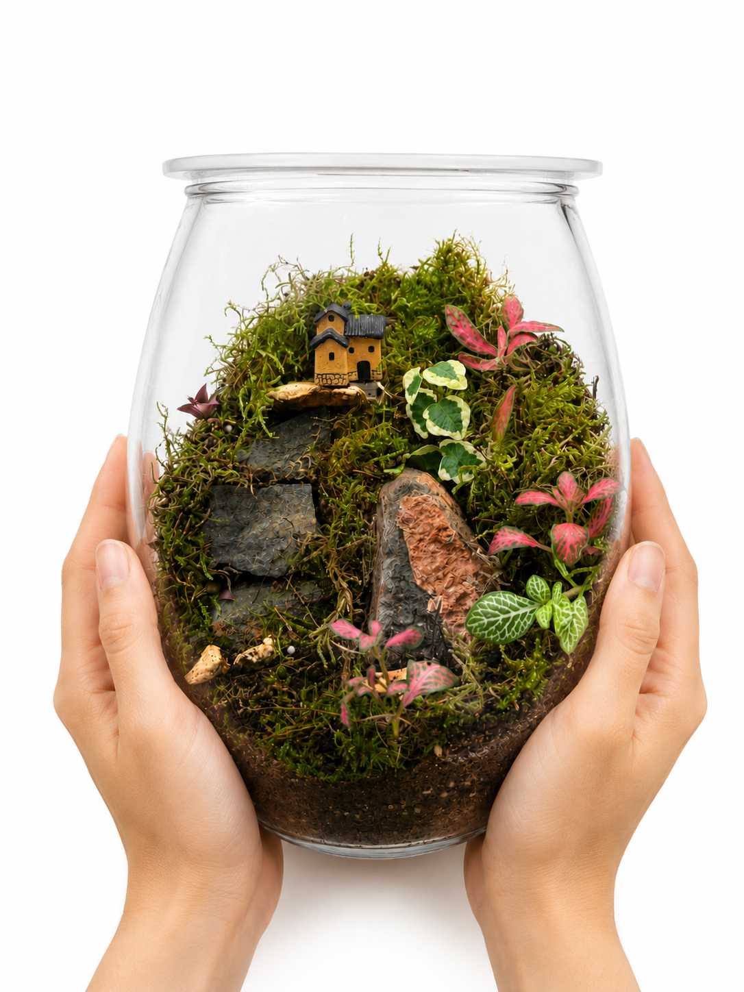 Fittonia Vein Terrarium – Miniature Moss Village Ecosystem in Glass 22x15cm