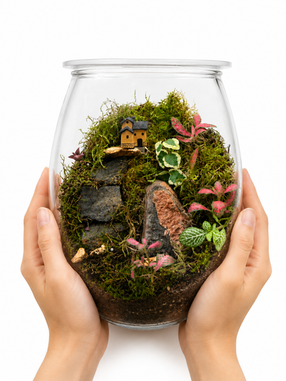 Fittonia Vein Terrarium – Miniature Moss Village Ecosystem in Glass 22x15cm