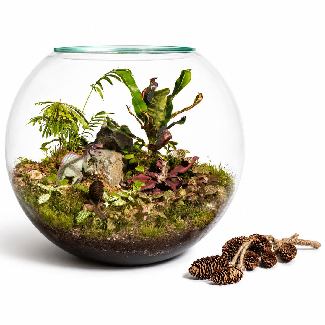 Jurassic Forest Closed Terrarium – Tropical Moss Garden with Mini Dino Scene Mini Indoor Ecosystem
