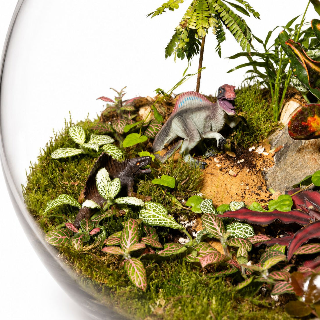 Jurassic Forest Closed Terrarium – Tropical Moss Garden with Mini Dino Scene Mini Indoor Ecosystem