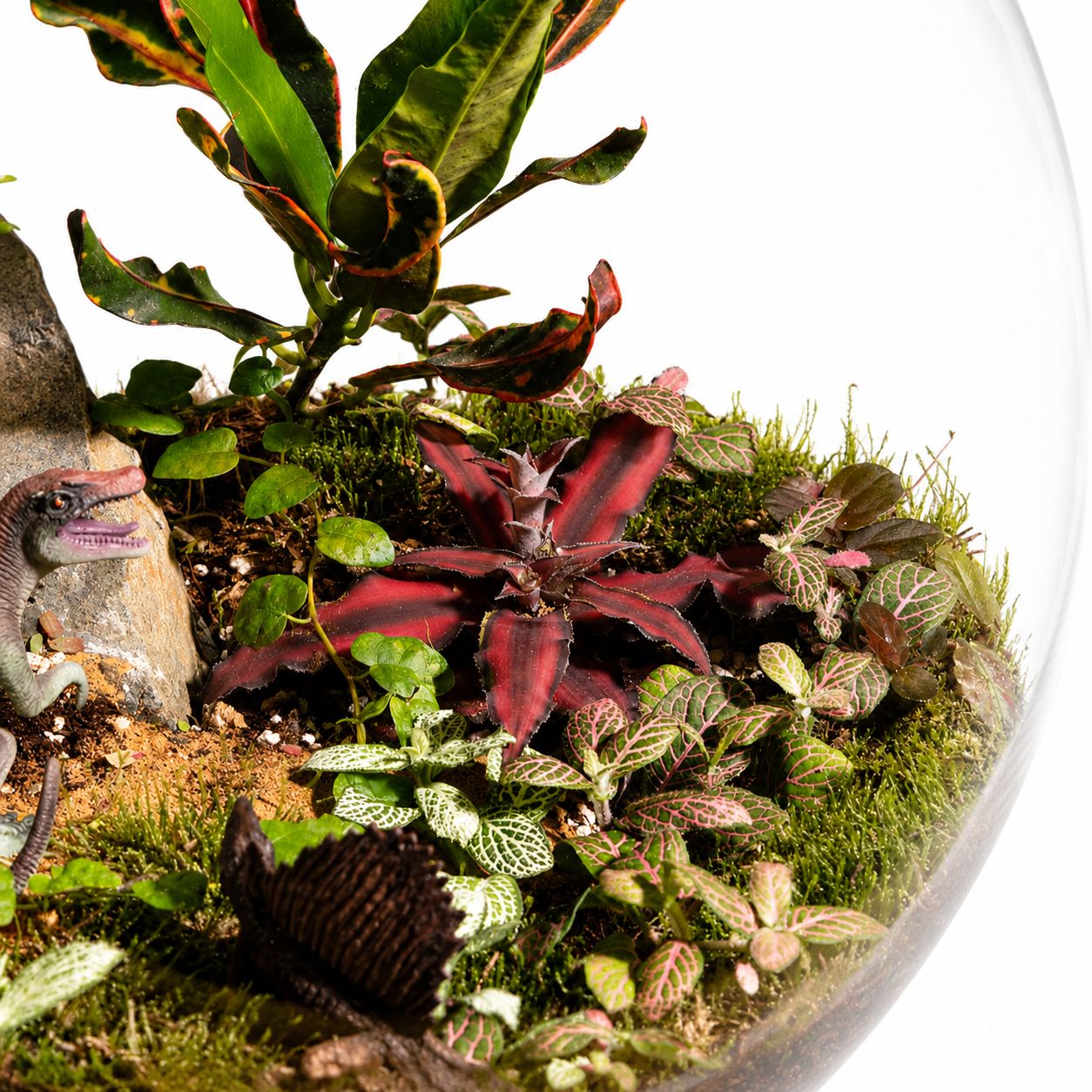 Jurassic Forest Closed Terrarium – Tropical Moss Garden with Mini Dino Scene Mini Indoor Ecosystem