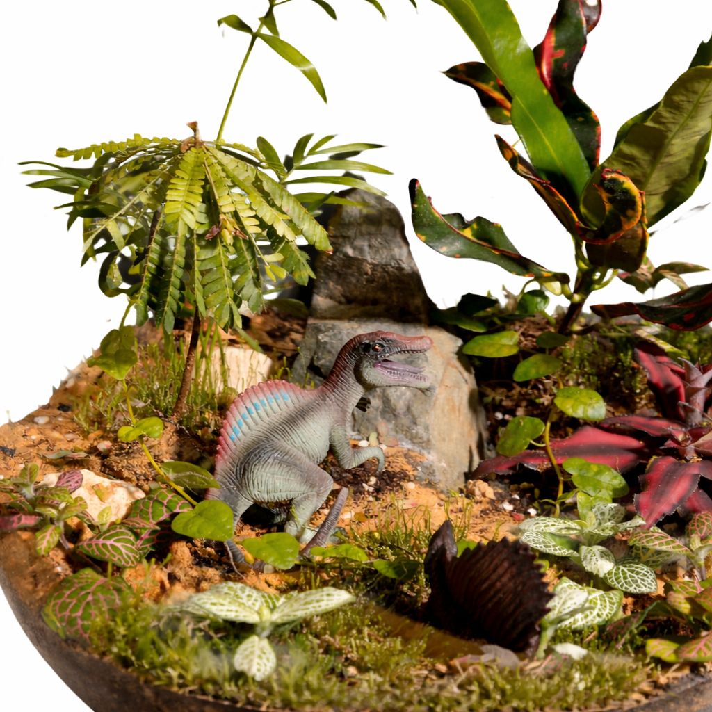 Jurassic Forest Closed Terrarium – Tropical Moss Garden with Mini Dino Scene Mini Indoor Ecosystem