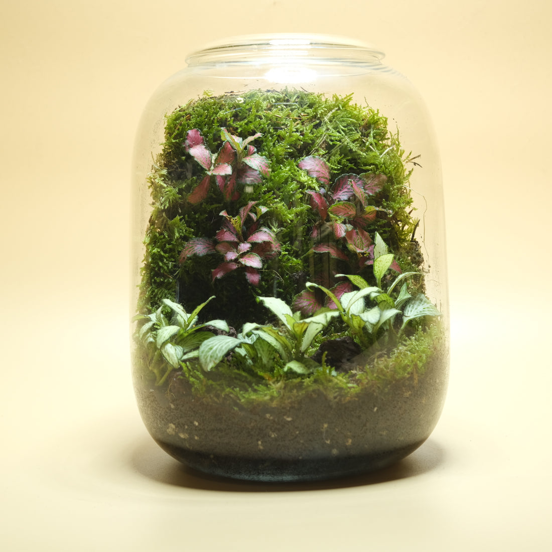 Green Waterfall Terrarium