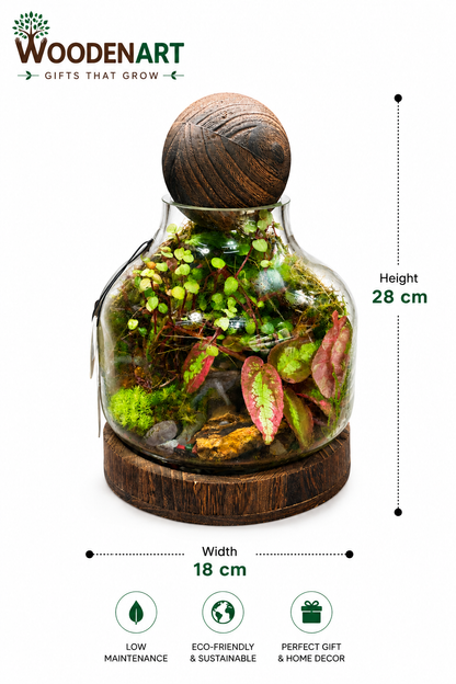 Rex Begonia Jewel Closed Terrarium – Miniature Tropical Ecosystem in Glass 28x18cm