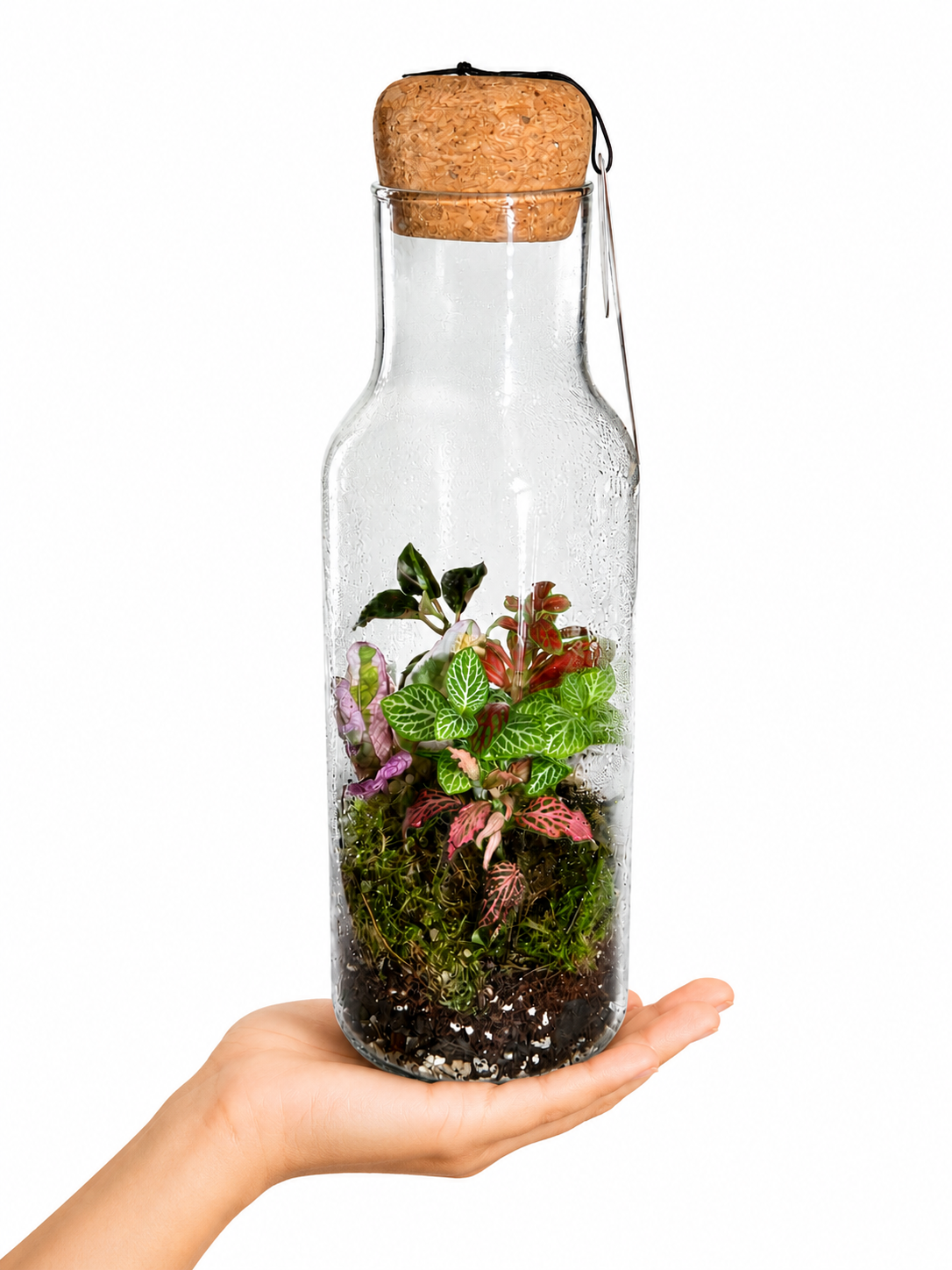 Fittonia Green &amp; Pink Mosaic Bottle Terrarium – Closed Tropical Ecosystem in Glass 26x8cm