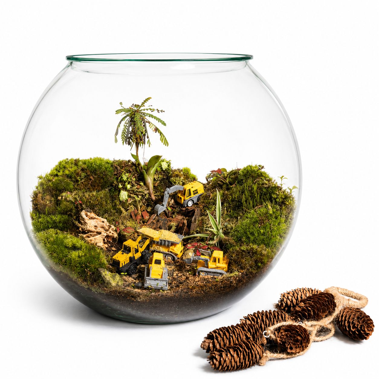 Mini Construction Site Closed Terrarium – Moss Landscape with Toy Excavators Mini Indoor Ecosystem