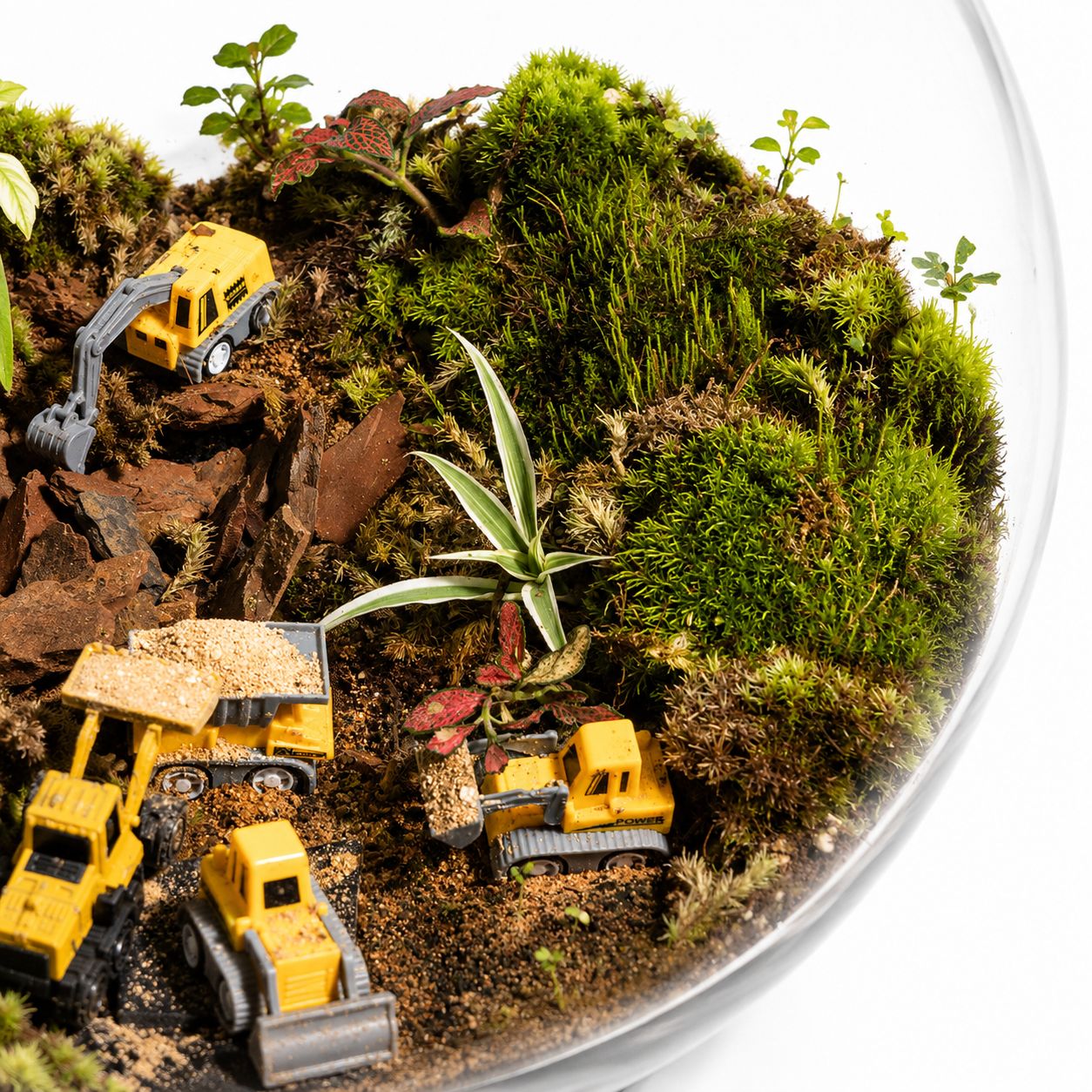 Mini Construction Site Closed Terrarium – Moss Landscape with Toy Excavators Mini Indoor Ecosystem