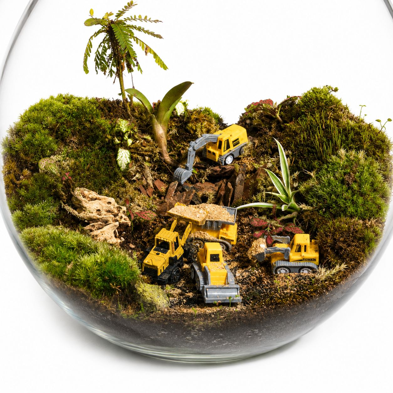 Mini Construction Site Closed Terrarium – Moss Landscape with Toy Excavators Mini Indoor Ecosystem