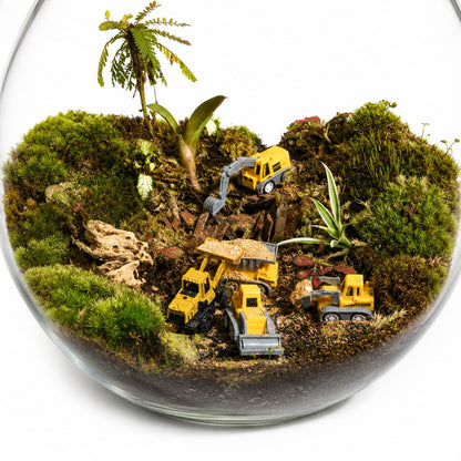 Mini Construction Site Closed Terrarium – Moss Landscape with Toy Excavators Mini Indoor Ecosystem