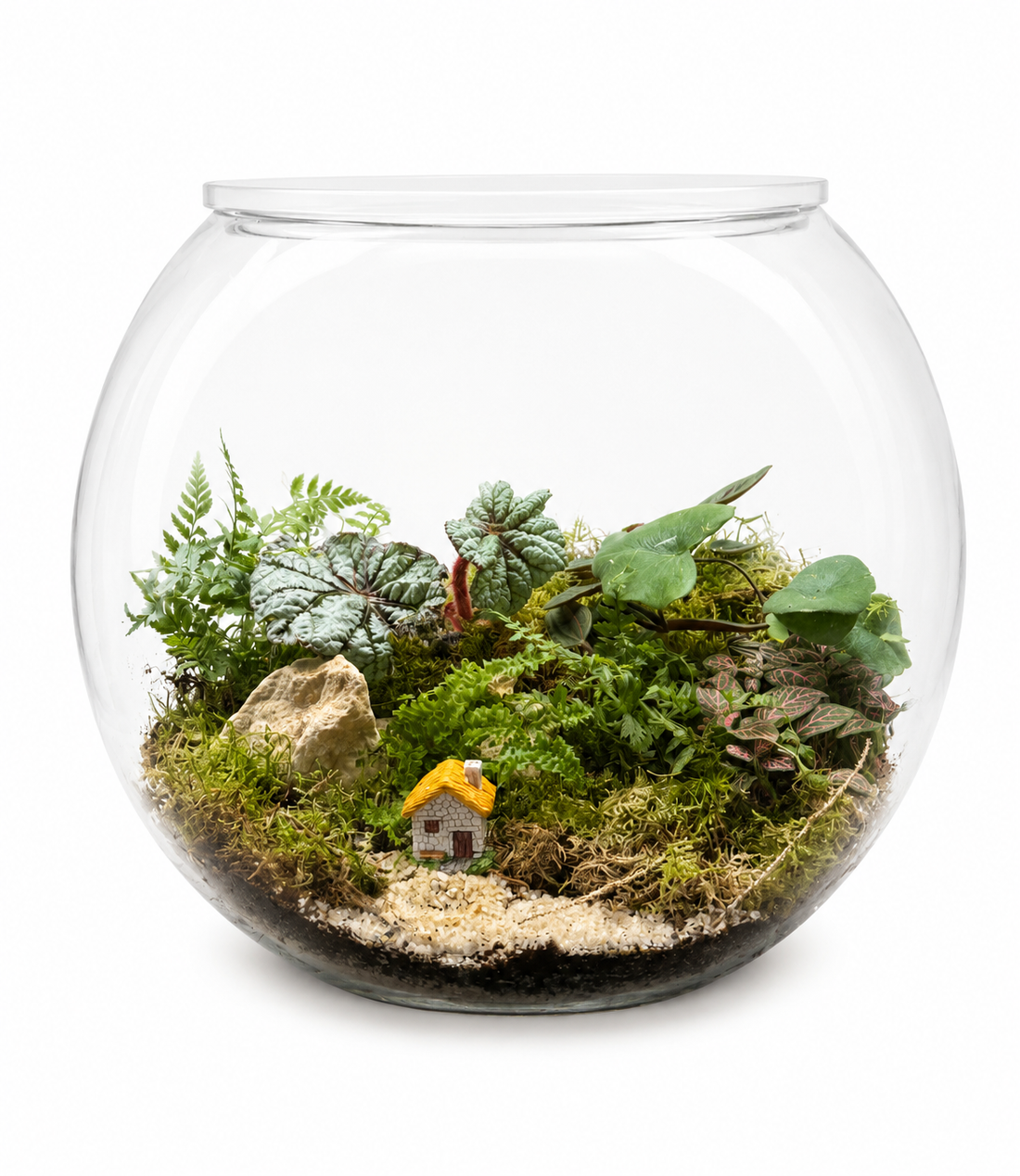 Emerald Haven Closed Terrarium - Mini House Ecosystem