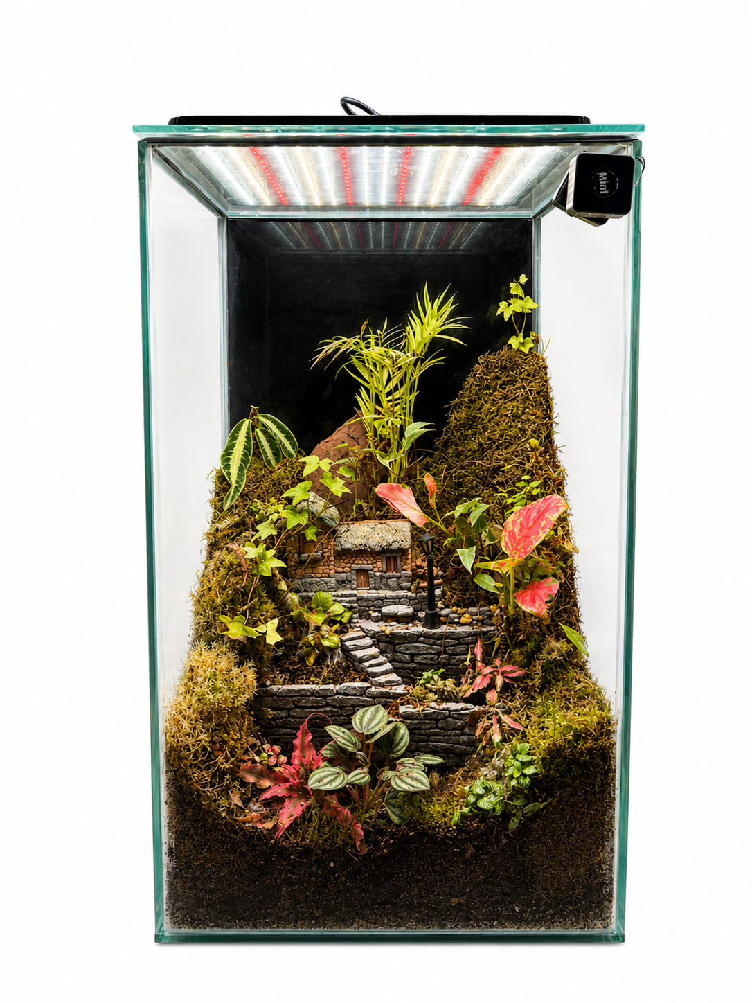 Parlor Palm Cottage Closed Terrarium – Miniature Village Garden in Glass 62x35cm