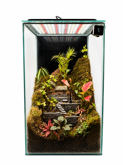 Parlor Palm Cottage Closed Terrarium – Miniature Village Garden in Glass 62x35cm