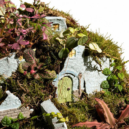 Enchanted Woodland Cottage Terrarium – Mini Moss Village Ecosystem 35x40cm