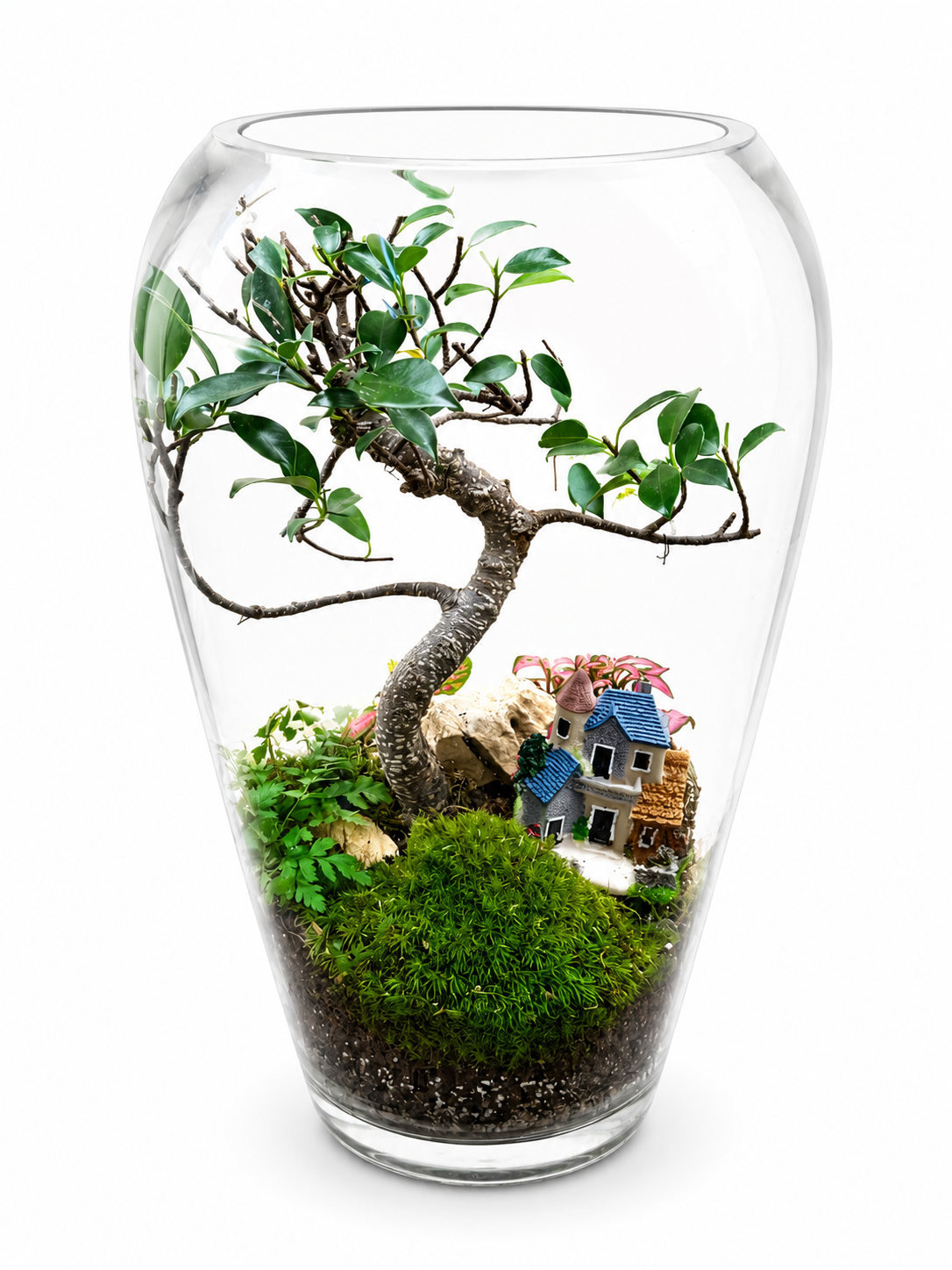 Enchanted Canopy Bonsai Closed Terrarium - Mini Ecosystem