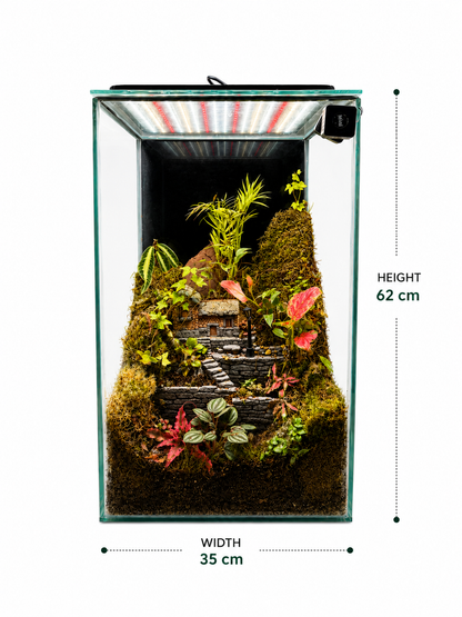 Parlor Palm Cottage Closed Terrarium – Miniature Village Garden in Glass 62x35cm