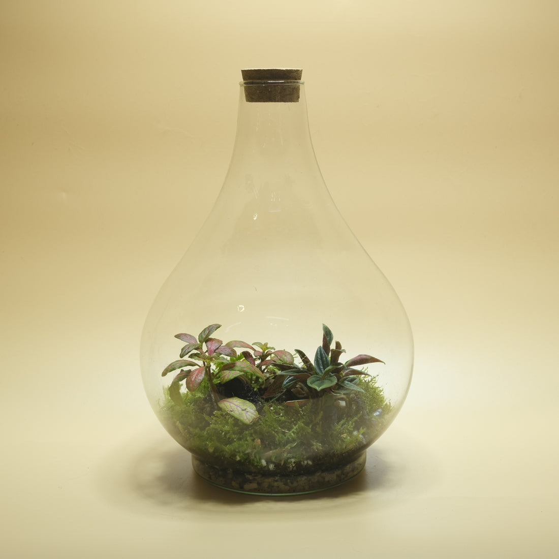 Garden Floor Terrarium