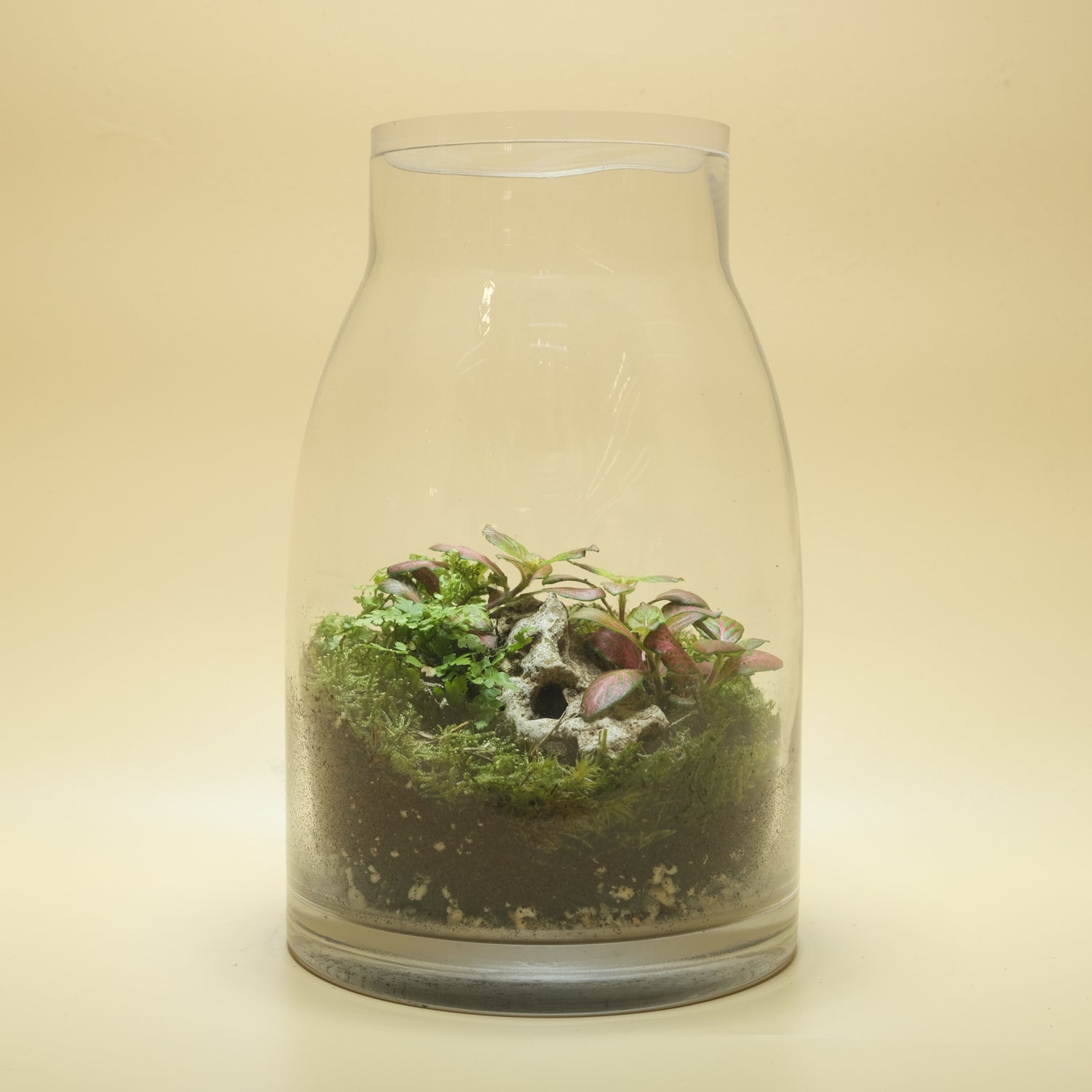 Tiny Cave Terrarium