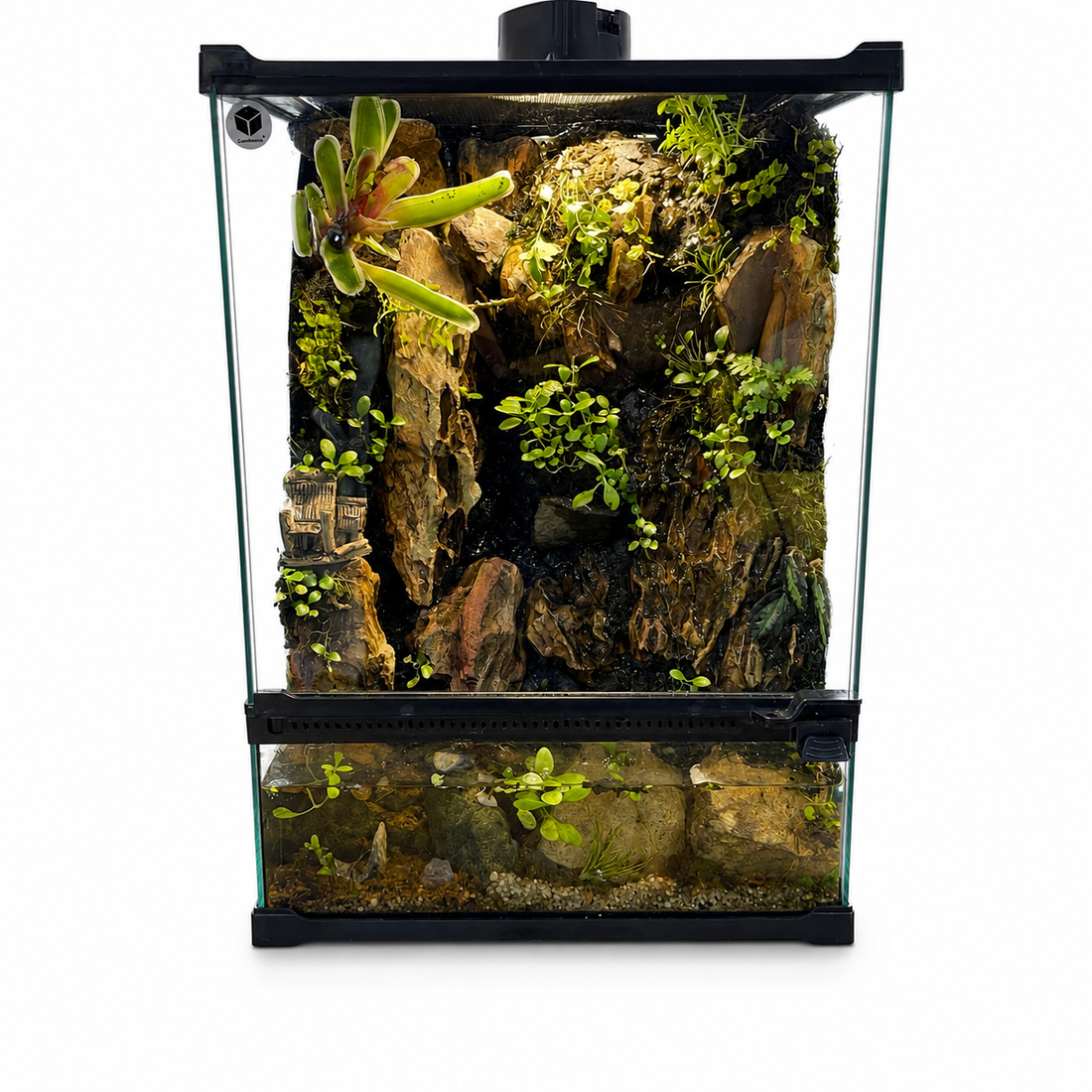 Mini Cliffside Waterfall Paludarium