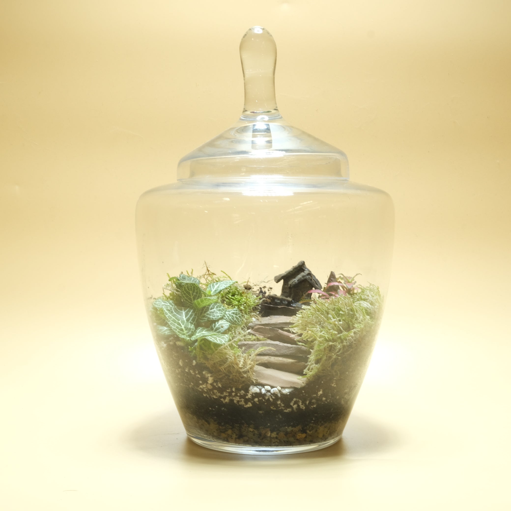 Sweet Home Terrarium