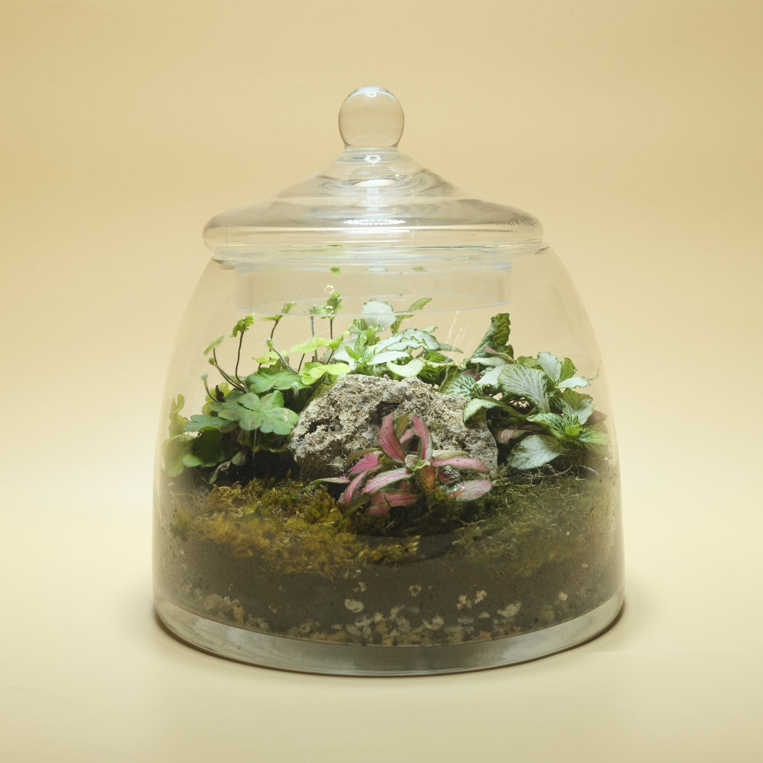 Fantasy Rest Rock Terrarium